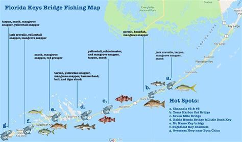 chanel 5 bridge|florida keys fishing map.